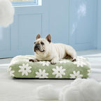 LE SURE Cute Aesthetic Bed Medium Size Dog,Jacquard Thick Pet Pillow 30x20 | Shredded Chopped Foam,Modern Plush Crate Cushion Gift for Medium Size Dog, Waterproof Washable Cover, Nonslip Bottom, Green