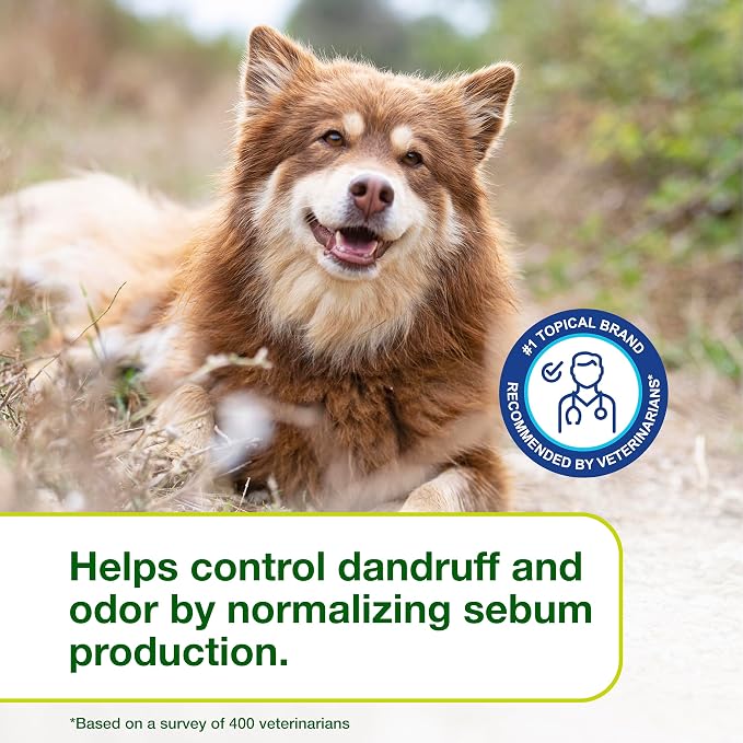 Douxo S3 SEB Dog Seboregulating Shampoo, 0.5% Ophytrium, 6.7 fl oz | Seborrhea Treatment for Dogs & Cats, Helps Control Dandruff, Unpleasant Odors & Oily/Flaky Skin, 0.5% Ophytrium, 6.7 fl oz