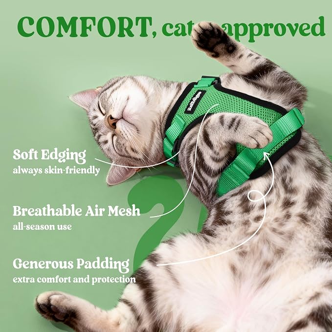rabbitgoo Cat Harness and Leash Set, Escape Proof Vest, Grass Green | Soft Breathable Mesh, Easy Adjustable Fit, Snap Buckles, Sturdy Clip, Reflective Strips, for Medium to Large Cats Walks, M