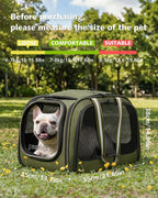 Pecute Cat Carrier with Bubble Window & Sunshade for Dogs Cats, Green XL | Dual bubble windows & top sunshade, 70% more airflow mesh, Impact-resistant stable frame, Locking zippers, Fits up to 20 lbs
