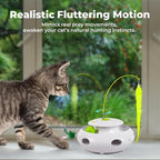 ALL FOR PAWS 3 in 1 Interactive Flutter Bug Cat Toy with Rolling Balls, Whack-a-Mole Feather Toy Automatic Kitten Spinner Toys, Mental Stimulation for Indoor Cats,Includes 6 Teaser Refills