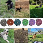 BTINESFUL Dog Tie Out Long Tether Rope Dog Lead for Yard 8/12/20/30/50/75ft | Check Cord Training Dog Line for Large Medium Small Dogs Outdoor Playing, Camping, or Backyard (12ft, Orange Black)