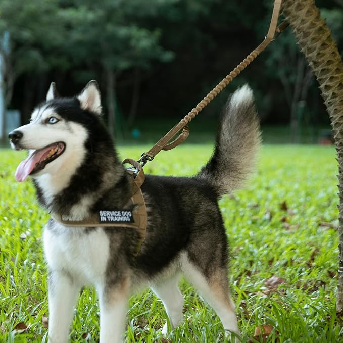 EXCELLENT ELITE SPANKER Tactical Military Bungee Nylon Dog Leash Adjustable | Adjustable No Pull Leads Rope Quick Release with 2 Control Handle heavy duty durable for training huntingfor medium large dog