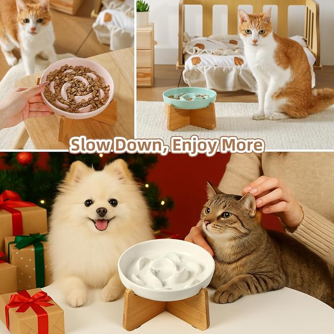 Elevated Ceramic Slow Feeder Cat Bowl, 6.3'' Wide Whisker Friendly | Slow Eating 5x, Anti Vomit Shallow Slow Eating Cat Dish, 3.7" H Raised Cat Puzzle Feeder for Dry and Wet Food, 6.3" X 1.2"