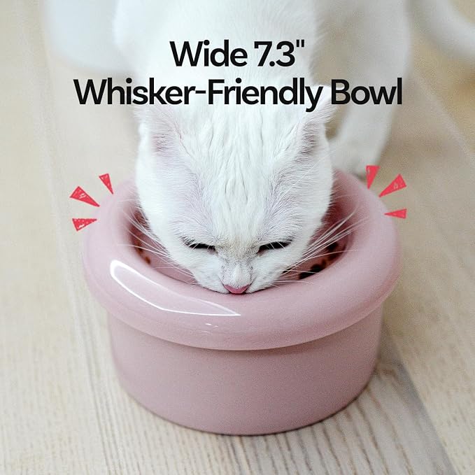 Donut Bowl Elevated Ceramic Cat Bowl with Stand, Raised Whisker-Friendly Bowl for Cats & Small Dogs, Patented Donut Design, Made in Korea (Pink, Donut Only)
