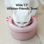 Donut Bowl Elevated Ceramic Cat Bowl with Stand, Raised Whisker-Friendly Bowl for Cats & Small Dogs, Patented Donut Design, Made in Korea (2.8" H -Blue)