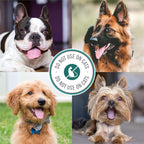 Nature's Specialties Tar & Sulfur with Aloe Shampoo for Dogs, Non-Toxic Biodegradeable, 1gal