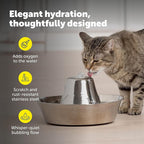 Seaside Stainless Cat & Dog Fountain with 4-Pack of Carbon Filters | 60 Oz Capacity with Extra Carbon Filters, Triple-Filter Operation, 360-Degree Flow, Rust-Resistant Stainless Steel