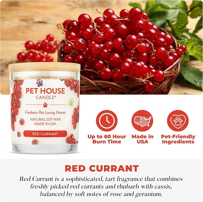 Pet House Candle Plant-Based/Soy - Clean Burning Scented, Long Lasting Pet Odor Candle for Home - Red Currant