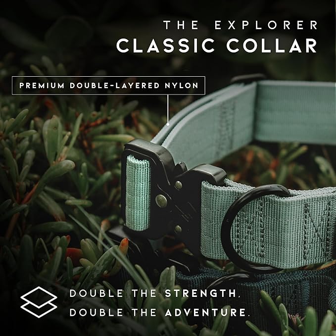 MADE TO ROAM Control Dog Collar | Leather Handle & Heavy Duty Metal Buckle | Premium adjustable collar with vegan leather handle. Fits medium to large dogs. 15 colors. Matching leash & harness