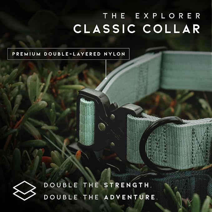 MADE TO ROAM Control Dog Collar | Leather Handle & Heavy Duty Metal Buckle | Premium adjustable collar with vegan leather handle. Fits medium to large dogs. 15 colors. Matching leash & harness