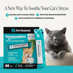 Cat Calming Lickable Treats for Anxiety Relief - Squeezable Calming Puree Pouches for Cats - Feline Stress Relief Behavior Support for Travel, Vet Visits, Grooming, & Separation (Salmon, 40 Ct)