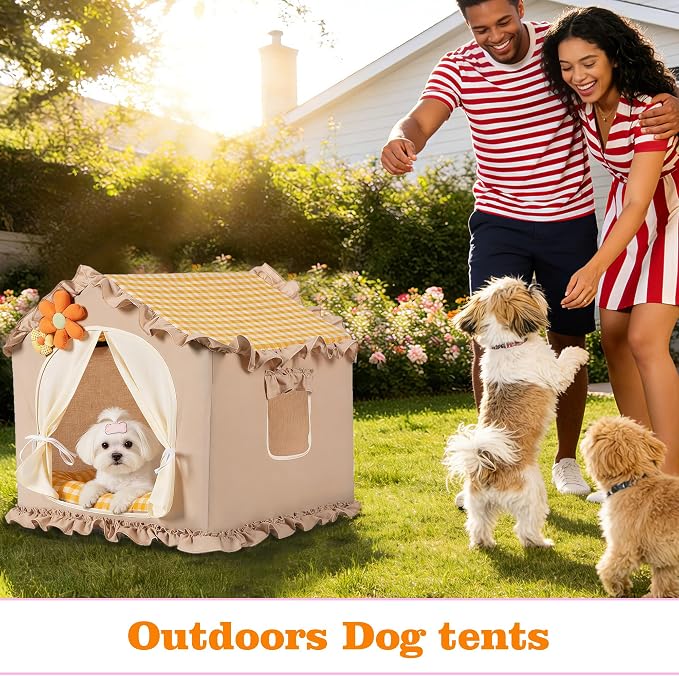 Yellow Indoor Dog House with Frame and Princess Style Cat Houses for Indoor Cats, Washable Cat Bed & Cat Tent, L Size (25x25x25 Inches) for 18-40 lbs. Pets.