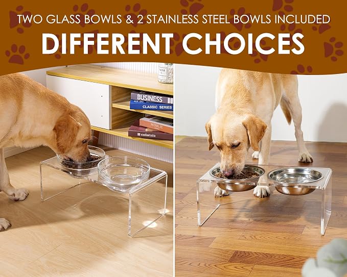 Acrylic Elevated Dog Cat Bowls Pet Feeder Double Bowl Raised Stand Comes with 2 Removable Glass Bowls and 2 Stainless Steel Bowls.Perfect for Large Dogs, 7.2" Tall