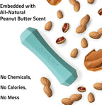 Playology Dog Toys | Squeaky Chew Stick for Dogs, Value 2-Pack | Peanut Butter Scented Medium Fetch Toy | Squeaky Dog Chew Toy