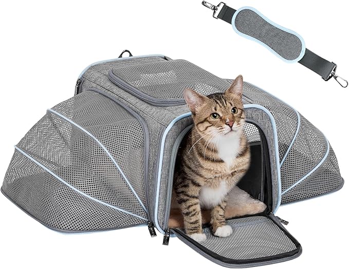 Petsfit Small Double Expandable Cat Carrier for Kittens and Air Travel | 16 x 10 x 9 in; sized for Alaska Airlines, with locking zippers, an interior safety tether and multi-side ventilation.