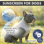 Spark Paws Sunblock Dog T-Shirt, SPF30 Protection, Lightweight Breathable Quick Dry for Dogs with Sensitive Skin - Blue & Grey (Set of 2) - 5XL