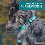 Wilderdog Waterproof Dog Collar - Repels Water & Dirt - Large 17"-24" - Seafoam
