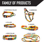 Wolfgang Heavy Duty Dog Leash, Pull-Tested for Walking & Training, PackLeader Print, Small