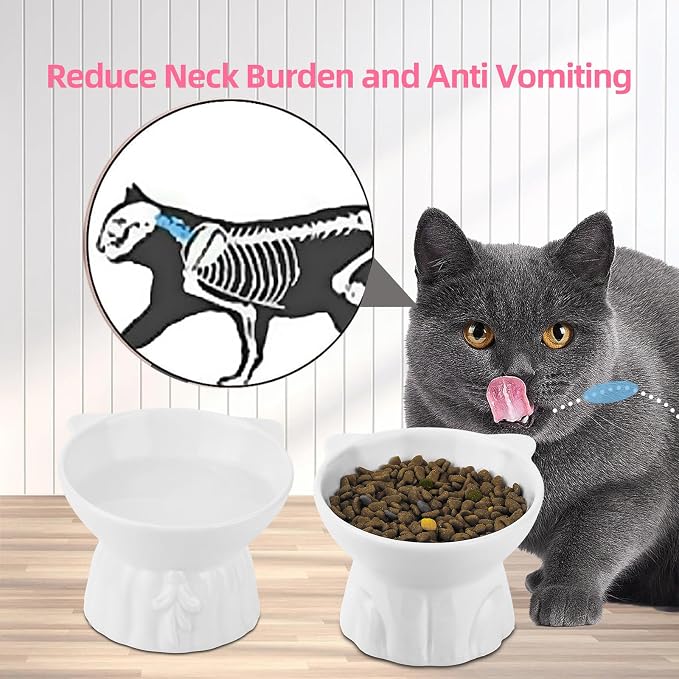 Elevated Cat Bowls 2-Pack, Ceramic Raised Cat Food & Water Dishes - Extra Wide & Shallow Whisker-Friendly Design, Anti-Vomit & Easy Digestion, Lead/Cadmium-Free, Microwave & Dishwasher Safe (White)