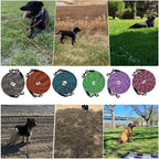BTINESFUL Tie-Out Long Rope Dog Lead 8/12/20/30/50/75ft Dog Tether for Yard | Large Medium Dogs Outdoor Training, Playing, Camping, or Backyard (8 Foot, Blue Black)
