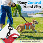 rabbitgoo Escape Proof Dog Harness for Small, No Pull with Lift Handle | No Escape, Full Soft Padded, Reflective Adjustable Vest, Leash Clip for Walking Hiking Training, Sky Blue & Red, Small