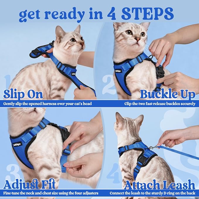 rabbitgoo Cat Harness and Leash Set, Escape Proof Vest, Navy Blue | Soft Breathable Mesh, Easy Adjustable Fit, Snap Buckles, Sturdy Clip, Reflective Strips, for Small & Average Cats Walks, Xs
