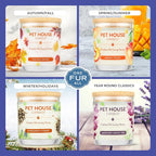 Pet House Candles, Natural Soy-Based, Clean Burning Pet Friendly Candles, 60 Hour Burn Time - Wild Blueberries, 9 oz, 2 Pack