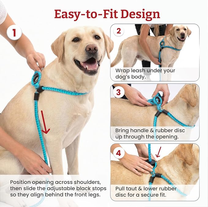 Harness Lead No Pull Dog Harness and Leash Set, Anti Pull Dog Harness for All Breeds and Sizes, One-Piece Cushioned Rope Design Safely Prevents Escaping and Pulling (Medium/Large, Pink)