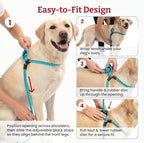 Harness Lead No Pull Dog Harness and Leash Set, Anti Pull Dog Harness for All Breeds and Sizes, One-Piece Cushioned Rope Design Safely Prevents Escaping and Pulling (Small/Medium, Pink)