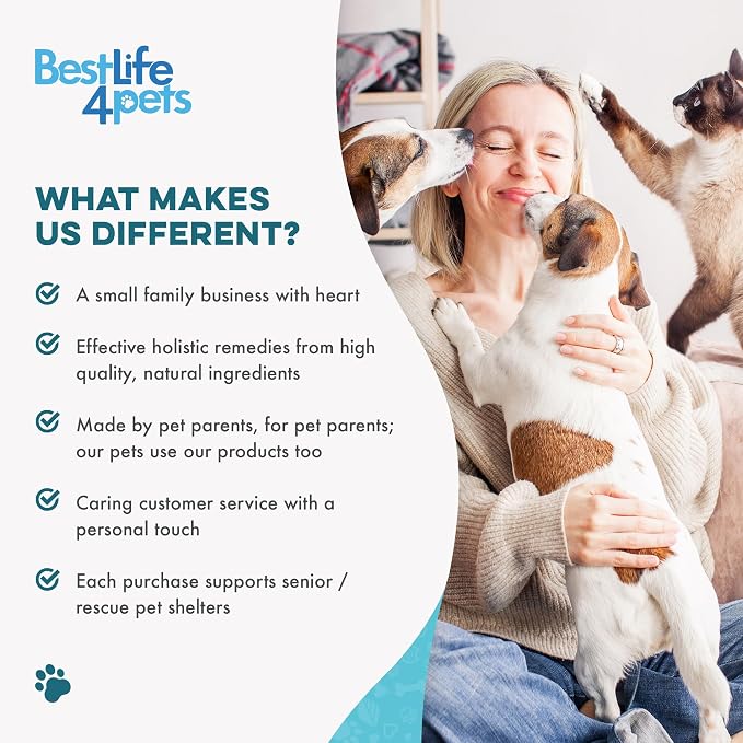 BestLife4Pets Cat Dental Care Supplement - 400 Pills | for Bad Breath, Tartar & Gum Support - Natural Cat Teeth Cleaning Oral Tablets Provide Eating & Gum Comfort, Teeth Wellness
