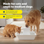 PetSafe Drinkwell Pagoda Fountain, 70 oz Ceramic, 4-Pk Filters Included | 2 Free-Falling Water Streams Encourage Hydration, Pet Water Fountain for Cats & Dogs, Includes 4 Carbon + 2 Foam Filters