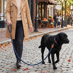 Mile High Life Dog Leash Braided Cotton Rope with Leather-Reinforced Ends | Rust-proof 360° swivel clasp, Heavy-duty for medium/large breeds. Great for weddings, daily walks (4 FT, 1/2", Navy)