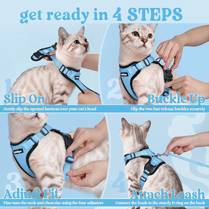 rabbitgoo Cat Harness and Leash Set, Escape Proof Vest, Light Blue | Soft Breathable Mesh, Easy Adjustable Fit, Snap Buckles, Sturdy Clip, Reflective Strips, for Medium to Large Cats Walks, M