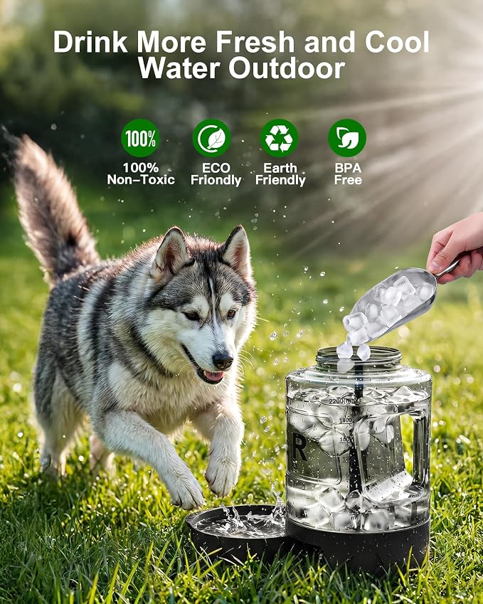 Portable Dog Water Bottle with Bowl, Large 77 oz/2.2 L, Black | Food-grade, BPA-free material, silicone seal, easy-clean wide mouth, grip handle, for large dogs, hiking, camping, beach days