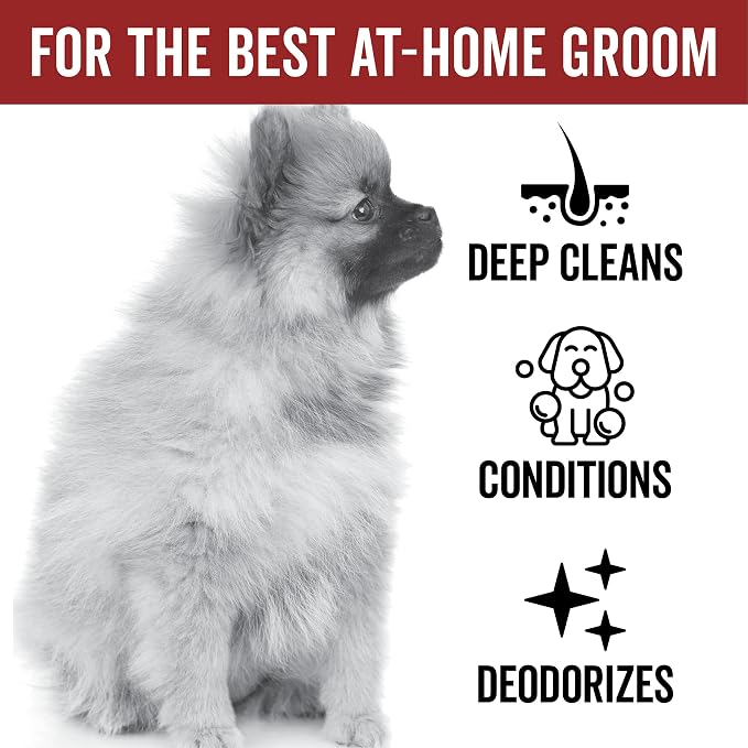 Pride and Groom DogDays Deshedding Dog Shampoo | Fast-Acting Coat Softener & Shedding Control | All-Natural Dog Wash with Essential Oils | Reduces Excess Fur & Dander for Curly & Wavy Coats – 16 oz