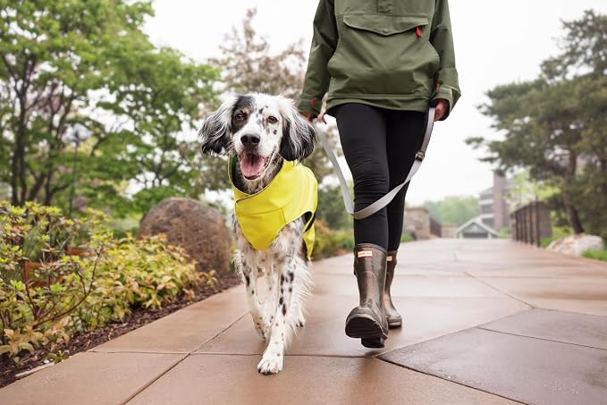 Goldpaw Rainpaw Waterproof Dog Raincoat - Durable Dog Rain Jacket for Medium Dogs - Easy to Wear, Adjustable, Premium Pet Outerwear - Made in The USA - Machine Washable - Navy - Size 20
