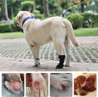 Anti-Lick Breathable Dog Recovery Boots for Injured Paws, Black M | Non-Slip Sole, Adhesive Strap Dog Shoes for Medium Large Breeds