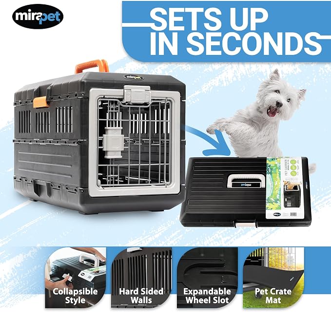 Pet Carrier & Crate, 21.5"L x 12"W x 14"H - Collapsible for Small Cats and Dogs, Portable Hard Plastic Wall Kennel for Indoor/Outdoor Use