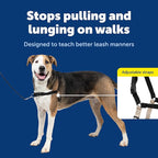 PetSafe Easy Walk No-Pull Dog Harness - Ultimate Harness to Help Stop Pulling - Pull-Free Walks - Take Control & Teach Better Leash Manners - Patented Martingale Loop Design - Black, X-Large