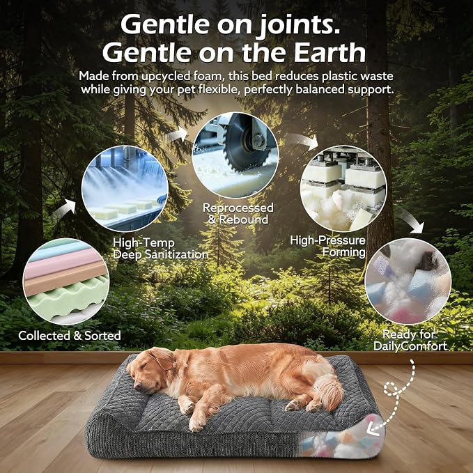 JOEJOY XL Orthopedic Dog Bed for Large Dogs, Extra Thick Foam Pet Bed Sofa | Bolster Sides, Large Sized Dog Couch Bed with Removable Washable Cover, Non-Slip Bottom, Grey (42"x30")