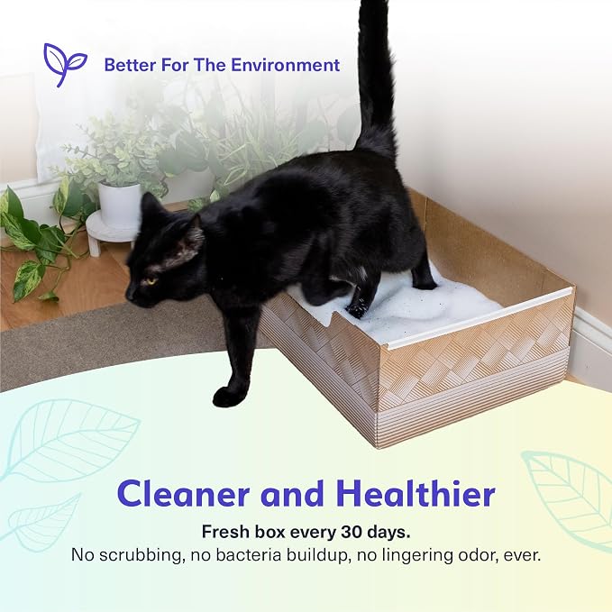 Kitty Poo Club Disposable Cat Litter Box 2-Pack, Fine-Grain Silica | Two 6 lb Bags, Low-Dust Crystals, Monthly Fresh-Start Setup, Leak-Proof Base for Road Trips, Hotels, RVs, and Multi-Cat Use
