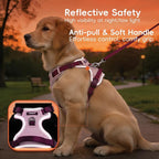 Dog Harness and Leash Set with Collar, No Pull Reflective Pet Vest Harness with Control Handle for Medium Large Dogs Walking and Training