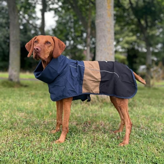Spark Paws Dog Raincoat, Waterproof Windproof Rain Jacket, for Small Medium Large Extra Large Dogs, Reflective Breathable Full-Body Coverage Dry Suit - Blue Gold Black - XL