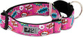 RC Pets 1-1/2 Inch All Webbing Martingale Training Dog Collar, Small, Pink Comic Sounds