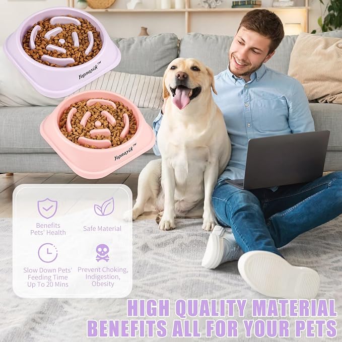 2 Pack Slow Feeder Dog Bowls for Medium Dogs & Cats | Non-Slip Base, Anti-Choking Design, Reduces Bloating & Overeating, Easy to Clean, 1.5-2 Cups