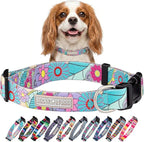 Lucky Love Dog Collars, Cute Small Dog Collars for Female Dogs, Part of Purchase Donated to Rescue, Caroline, Small
