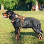 Beebiepet Heavy Duty Tactical Dog Harness for Small Dogs, No Pull Adjustable Pet Harness Reflective Service Training Easy Control Pet Vest Military K9 Working Dog Harnesses- Large, Desert Camo