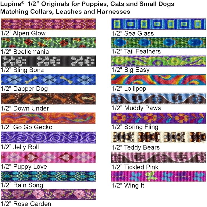 LupinePet Originals 1/2" Rain Song 6-foot Padded Handle Leash for Small Pets