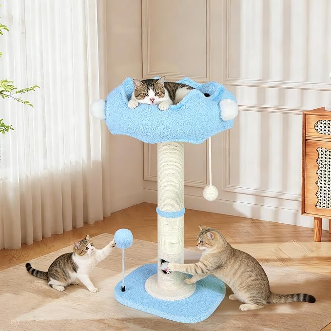 Tall Cat Scratching Post for Indoor Cats,Sisal Scratching Post(Blue Sky) | Cat Scratch Post with Sisal Ball, Solid Wood Cat Tower with Scratching Post and Cat Toys Mouse Hole, Cute Small Cat Tree